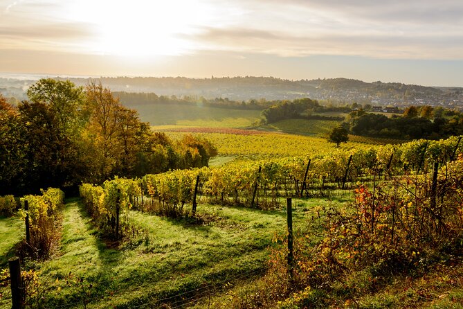 Scenic Vineyards, Villages, & Beauty Spots in Surrey Near London - Meeting Point Directions