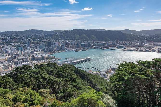 Scenic Wellington Helicopter Flight - Inclusions