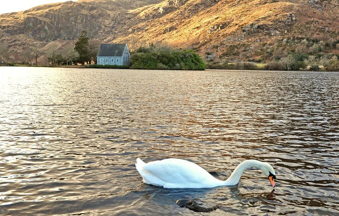 Scenic West Cork to Mizen Head Departing From Cork City. Guided. Full Day - Inclusions and Services