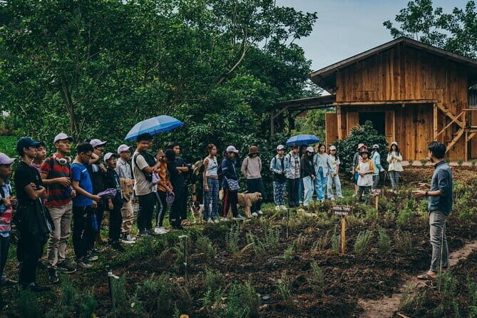 Scented Candle Workshop in Twin Beans Farm Da Lat - An Introduction to Twin Beans Farm and Its Charm