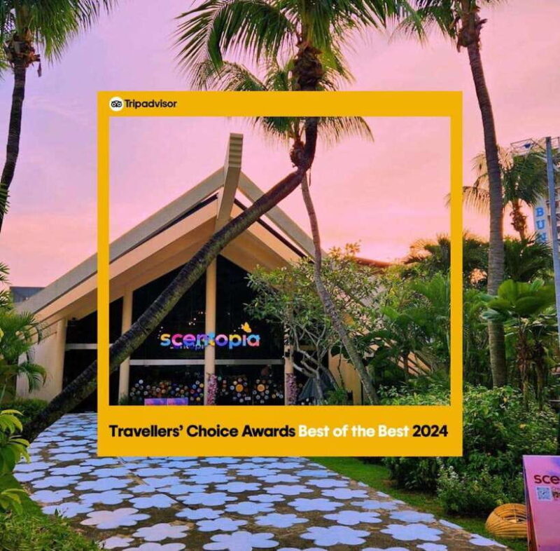 Scentopia - 100ml Scent crafting with Rainforest orchids - Good To Know