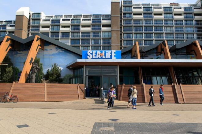 Scheveningen, The Hague: Sea Life Entry Ticket - Common Questions