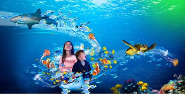 Scheveningen, The Hague: Sea Life Entry Ticket - The Sum Up