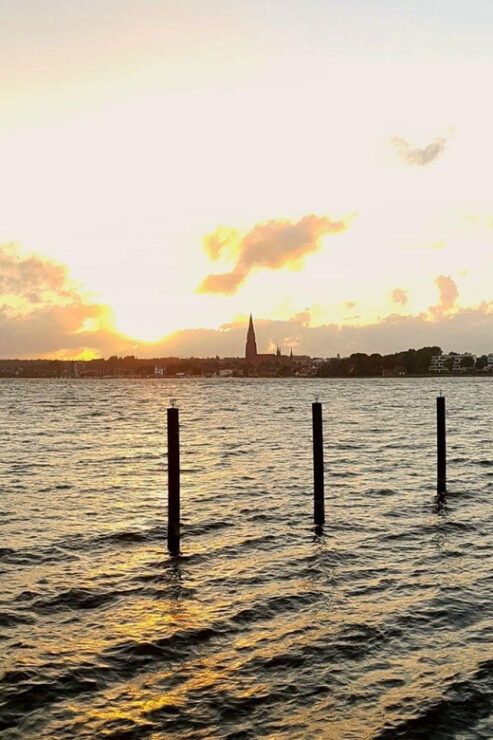 Schleswig: Highlights Tour (Cathedral, Old Town, Holm, City Harbor) - Itinerary Highlights