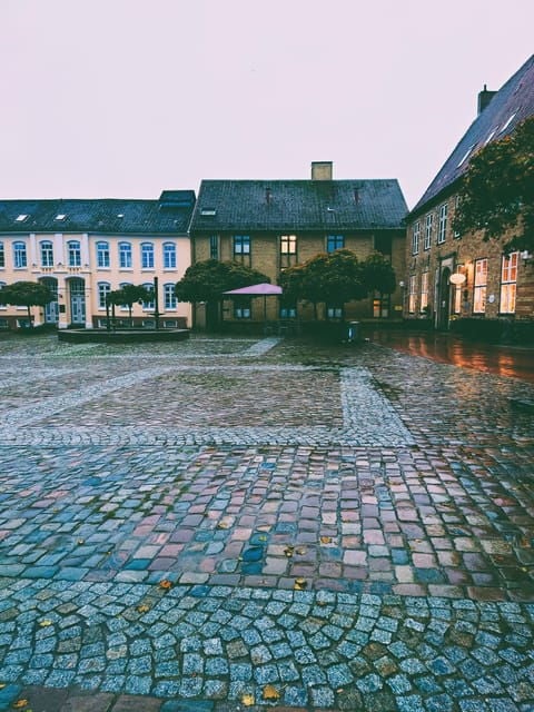 Schleswig: Highlights Tour (Cathedral, Old Town, Holm, City Harbor) - Frequently Asked Questions