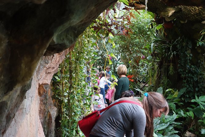 Schmetterlinghaus - Imperial Butterfly House Vienna Admission Ticket - Authentic Traveler Reviews