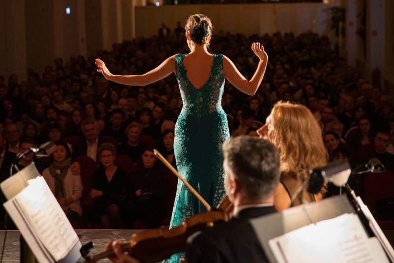 Schonbrunn Palace Concert and Austrian Dinner - What to know before you book