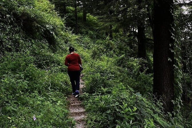 School Boy Walk - Good To Know