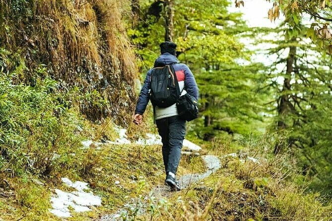 School Boy Walk - The Guides: Knowledge, Stories, and Local Flavor  