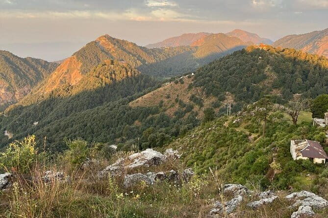 School Boy Walk - The Sum Up