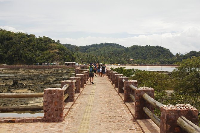 Schooner Tour to Ilha Dos Frades and Itaparica From Salvador - Additional Information