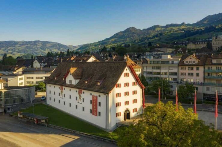 Schwyz: Forum of Swiss History Schwyz Entry Ticket - Good To Know