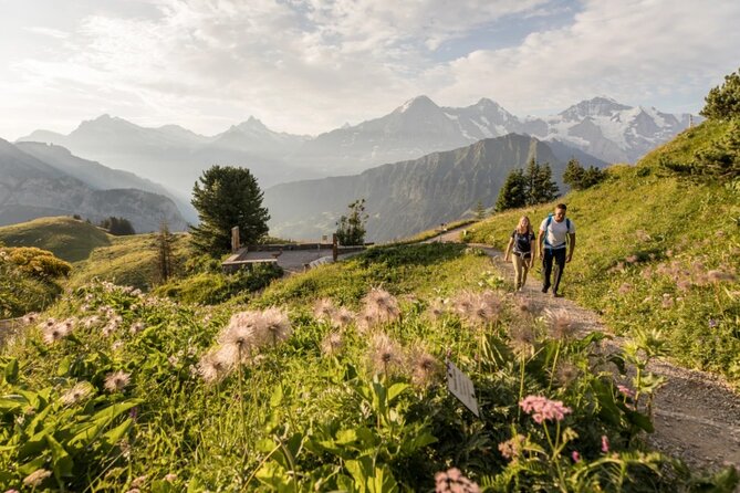 Schynige Platte Admission - Cancellation Policy