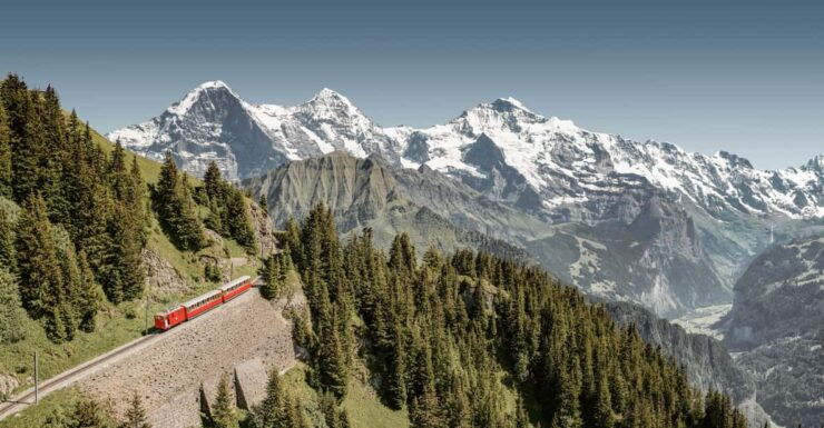 Schynige Platte - Top of Swiss Tradition Ticket - Good To Know