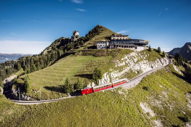 Schynige Platte - Top of Swiss Tradition Ticket - Botanical Alpine Garden