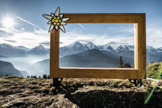Schynige Platte - Top of Swiss Tradition Ticket - Mountain Dining Experience