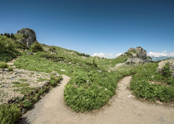 Schynige Platte - Top of Swiss Tradition Ticket - Key Inclusions