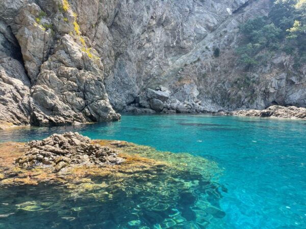 SCILLA: Boat Tour Costa Viola & Swimming Break - The Sum Up