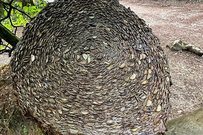 Scone Palace, Nature Walk and Whisky Experience From Edinburgh - Scone Palace Entry and Fees