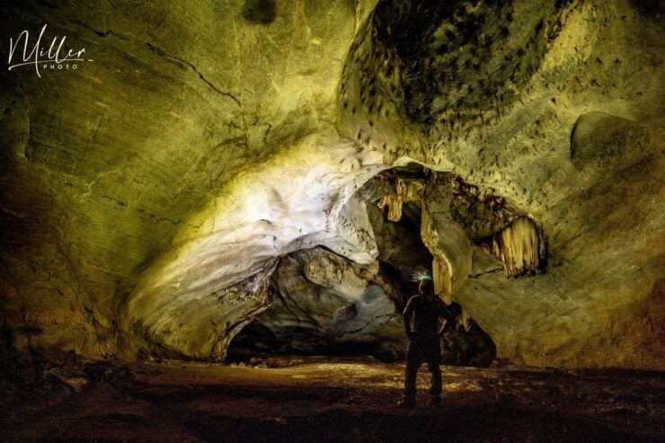 Scooter Adventure Incl Elephants, Cave - Tour Highlights