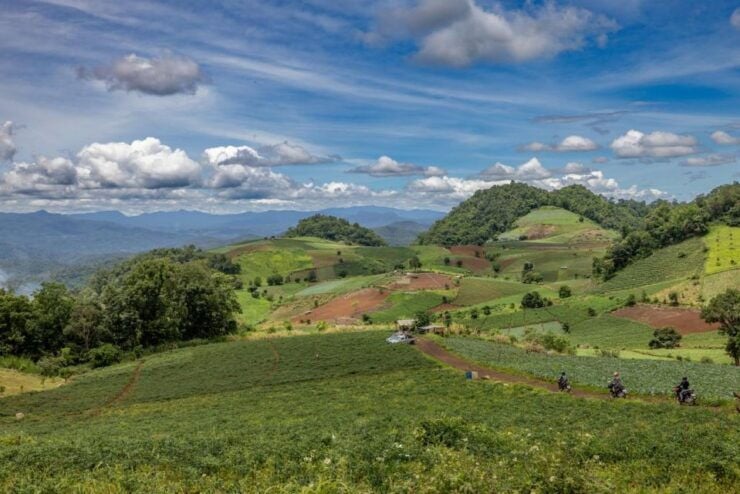 Scooter Adventure Incl Elephants, Cave - Booking Information