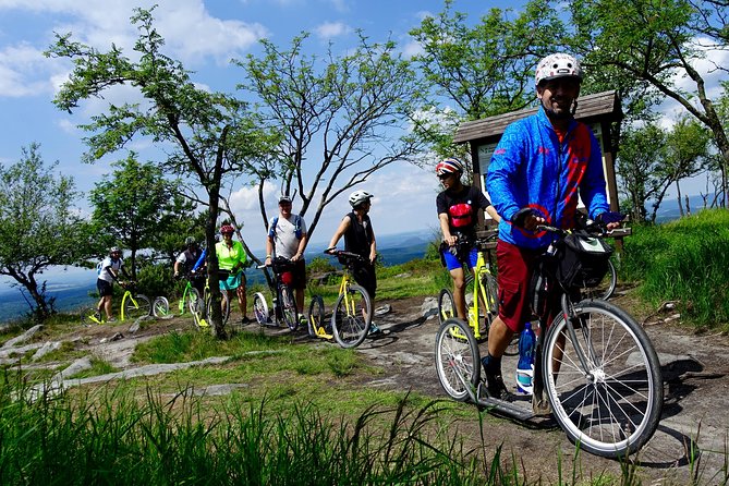 Scooter Downhill Tour From DěčÍnský SněžNík - Cancellation Policy