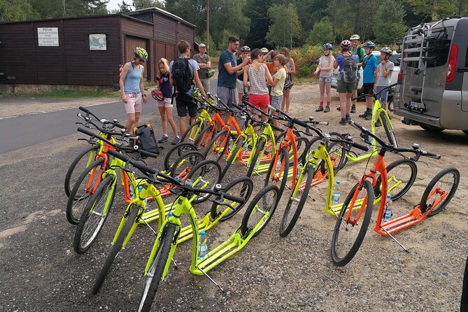 Scooter Downhill Tour From DěčÍnský SněžNík - Customer Reviews