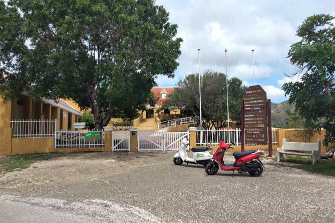 Scooter Rental - Rental Details