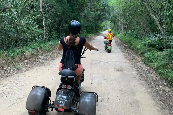 Scooter Tours Through Tsitsikamma National Park - Tour Overview