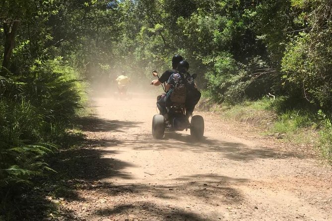 Scooter Tours Through Tsitsikamma National Park - The Sum Up