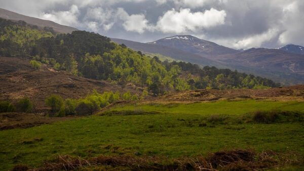 Scotland: Photography Group Tour With Pro Photographer - Group Size and Duration