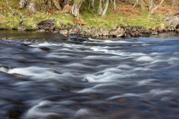 Scotland: Photography Group Tour With Pro Photographer - Frequently Asked Questions