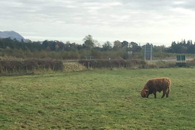 Scotland: Private Outlander-Themed Guided Tour - Edinburgh - Pickup Details