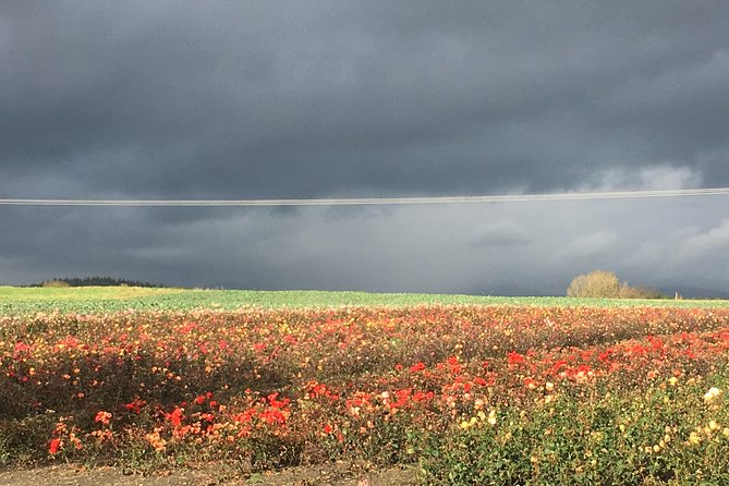 Scotland: Private Outlander-Themed Guided Tour - Edinburgh - Questions and Assistance