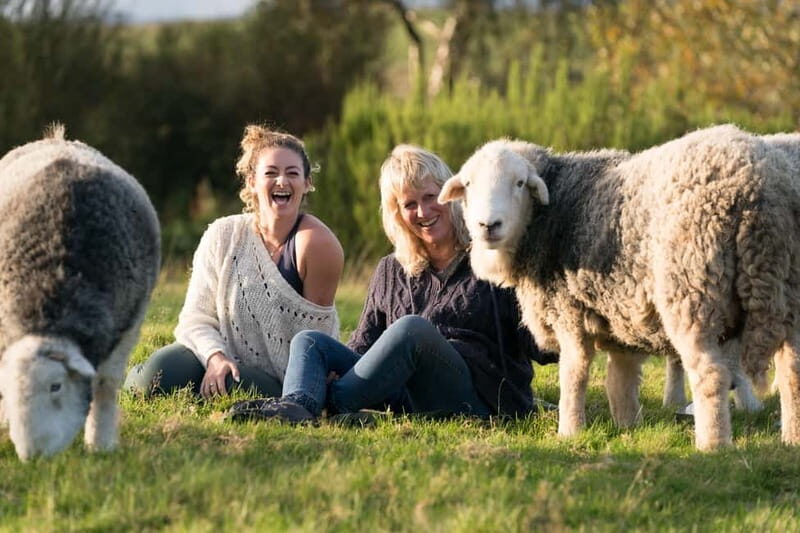 Scotland: Relaxation Retreat with Naughty Sheep - What You Can Expect from the Experience