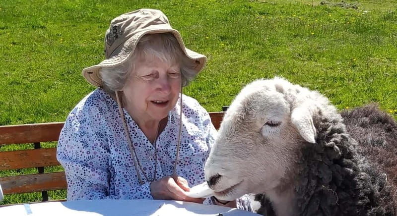 Scotland: Relaxation Retreat with Naughty Sheep - Why This Experience Stands Out