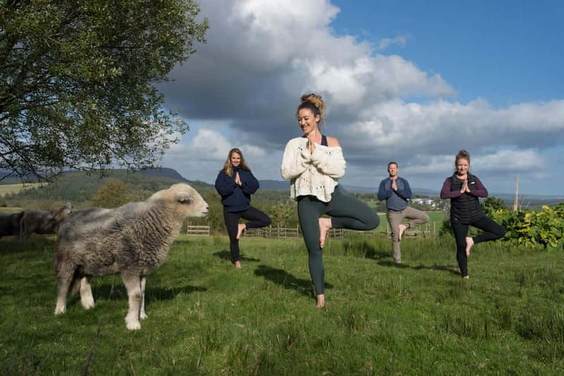 Scotland: Relaxation Retreat with Naughty Sheep - FAQs