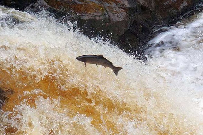 Scottish Highlands: Private Tour From Inverness - The Sum Up