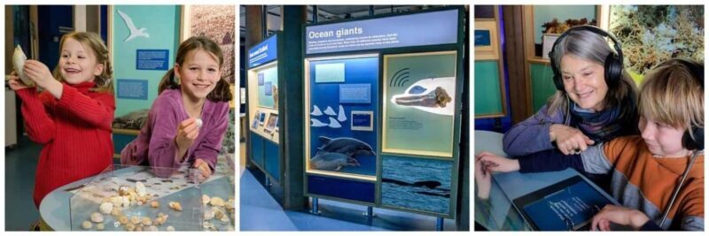 Scottish Seabird Centre: Discovery Experience Entry Ticket - Who Will Love This Experience?