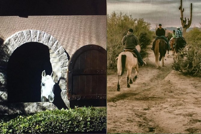 Scottsdale Horseback Riding and Horse Country Estate Tour - Inclusions
