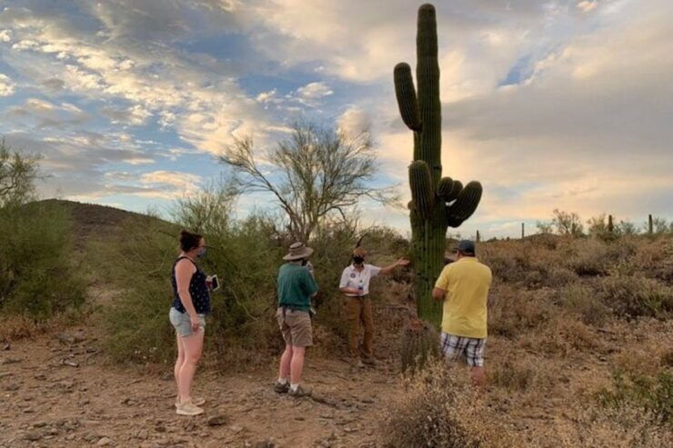 Scottsdale: McDowell Sonoran Preserve Hiking Tour - Tour Details