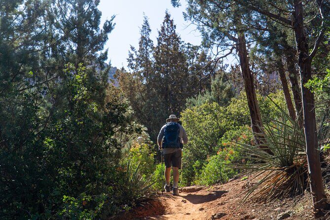 Scottsdale to Sedona Hike and Sights Tour - The Itinerary: A Deep Dive into Sedona’s Highlights