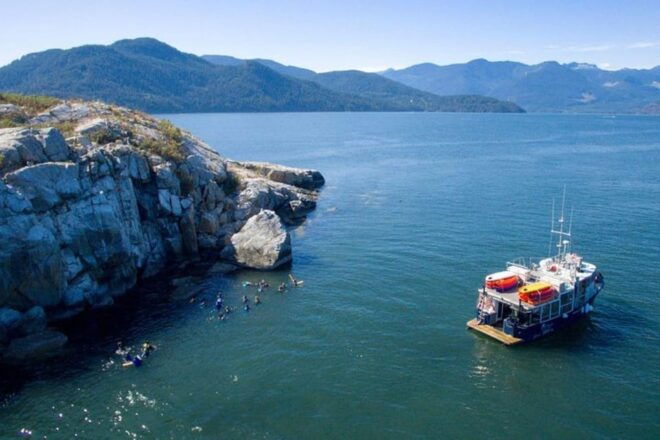 Scuba Boat Dive Certified Diver - Includes Wetsuit Equipment - Equipment and Amenities