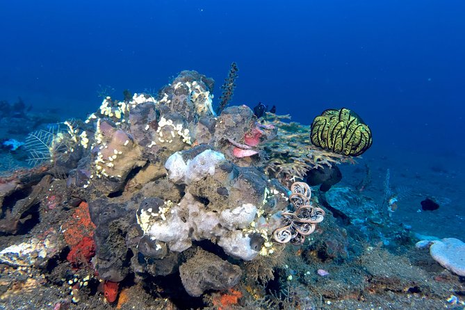 Scuba Certification - Scuba Certification Equipment
