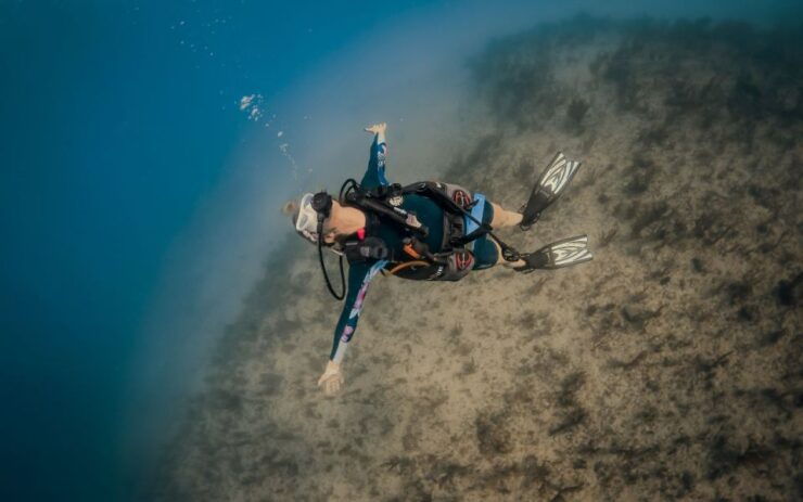 Scuba Certified Diving Immersion at Maroma Beach - Experience Highlights