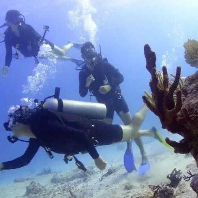 Scuba Cozumel: Experience from Boat, for Certified Divers - FAQ
