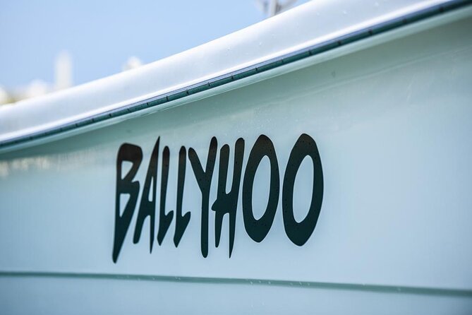Scuba Dive and Snorkel Private Charter in Puerto Rico - Charter Options