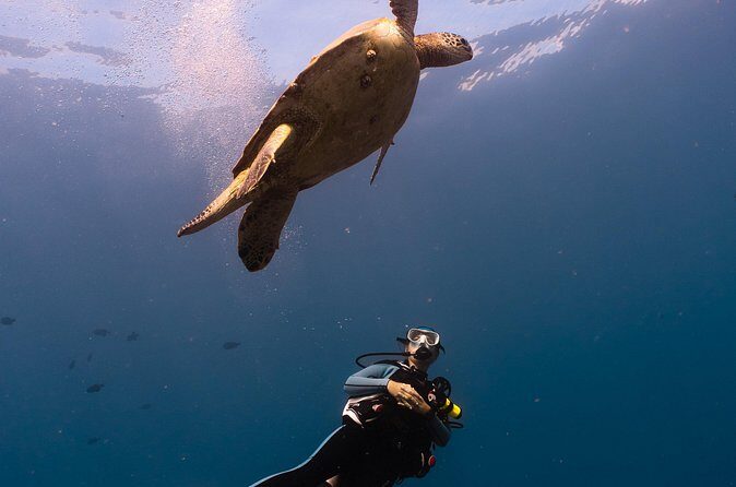 Scuba Dive at Electric Beach - FAQs