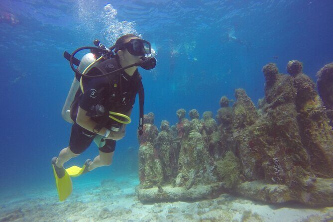 Scuba Dive at Musa Cancun for Certified Divers - What to Expect from the Tour