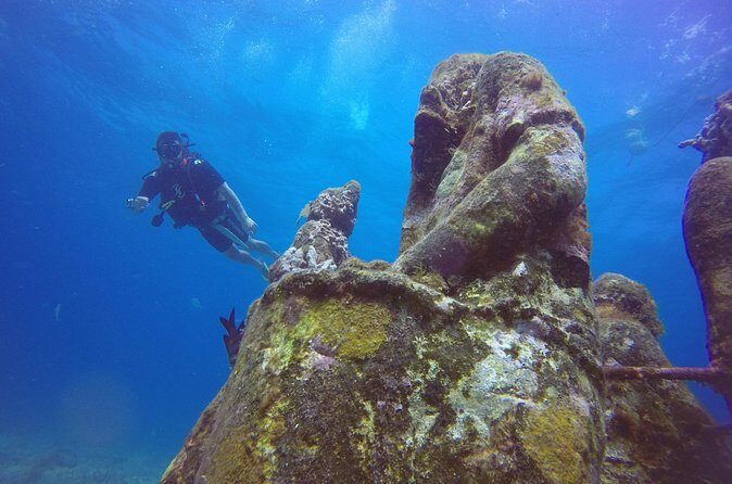 Scuba Dive at Musa Cancun for Certified Divers - The Sum Up: Who Should Consider This Tour?